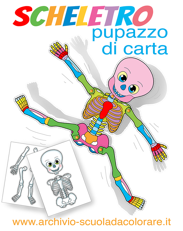 Disegno scheletro umano per bambini della scuola dell'infanzia