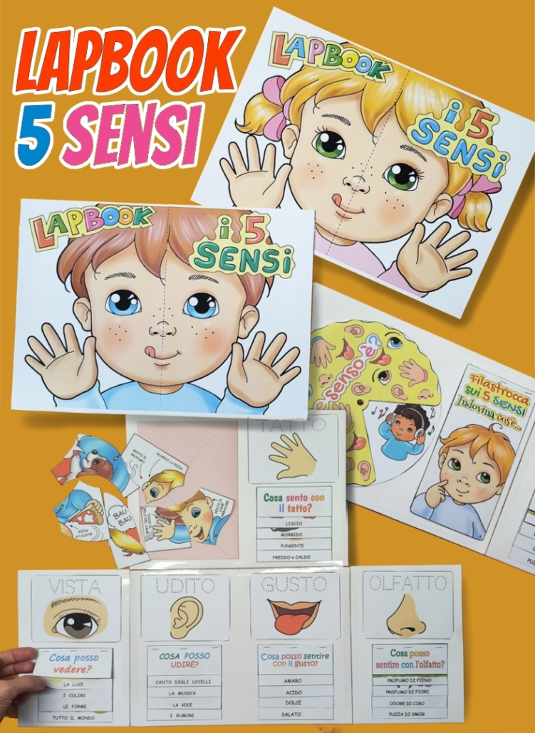 lapbook 5 sensi classe prima e scuola dell'infanzia